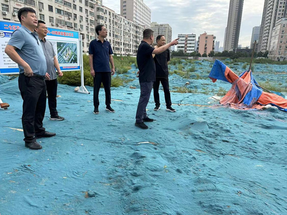 华体会体育-华体会（中国）
党委委员、副总经理张岩到侯寨新镇区安置区调研项目建设工作