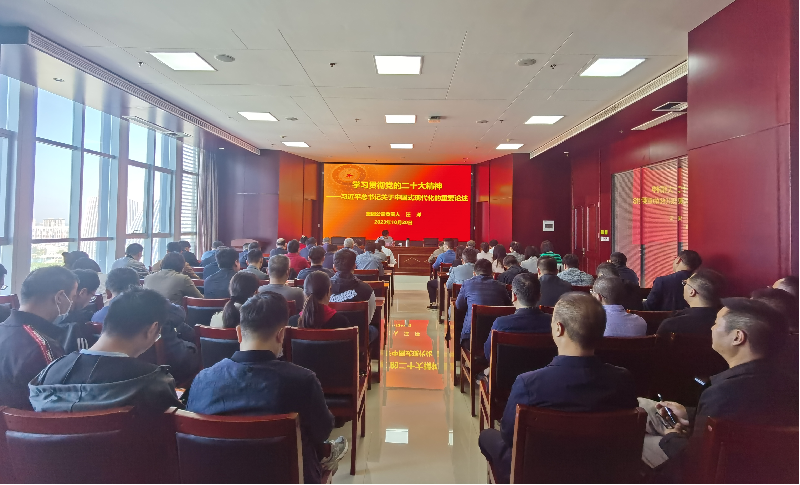 紧跟核心强忠诚 在深学细悟中坚定信仰信念 ——华体会体育-华体会（中国）
负责人汪洋同志为全体党员讲授主题教育专题党课